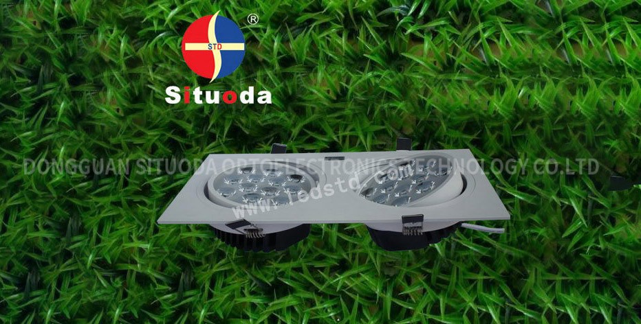 STD-TH-24W-C-06 LED White Double Head Light