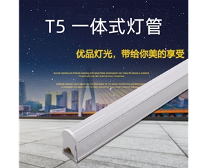 LED T5 integrated tube (1.2m 16W)