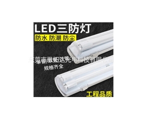 LED-Tri-proof light